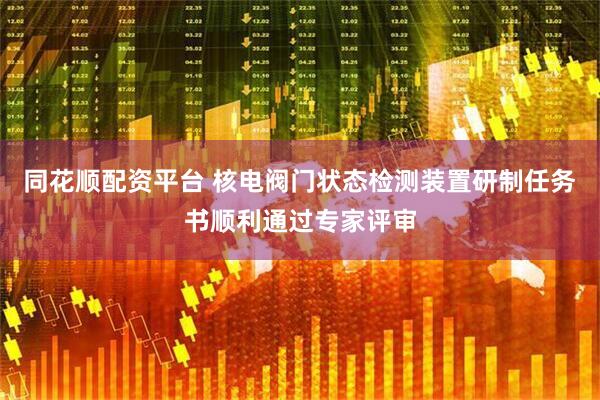同花顺配资平台 核电阀门状态检测装置研制任务书顺利通过专家评审
